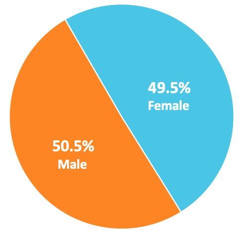 Pie chart showing gender distribution: 50.5% male (orange) and 49.5% female (blue)