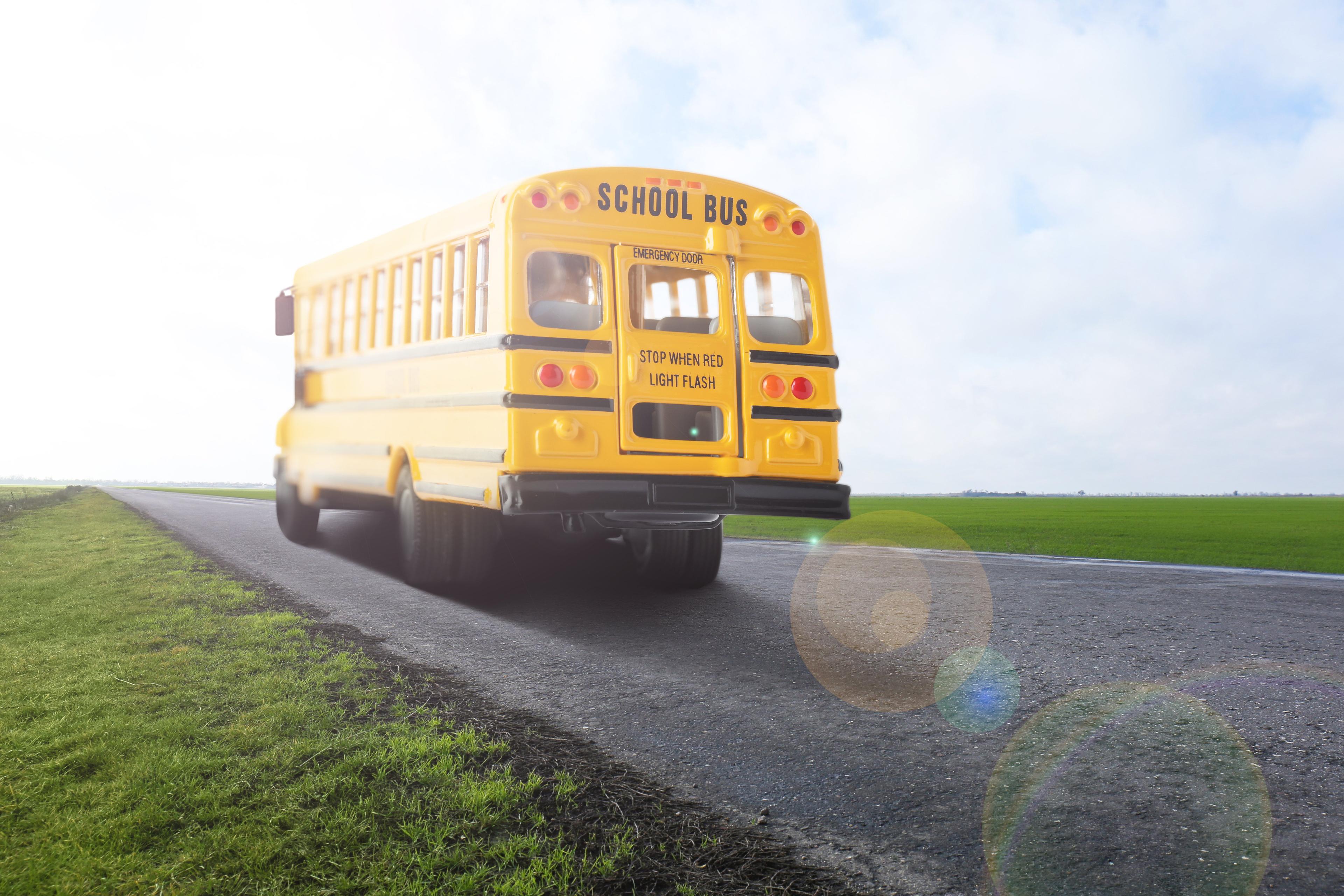 Yellow school bus driving on a rural road with green fields and morning sunlight creating lens flare effects