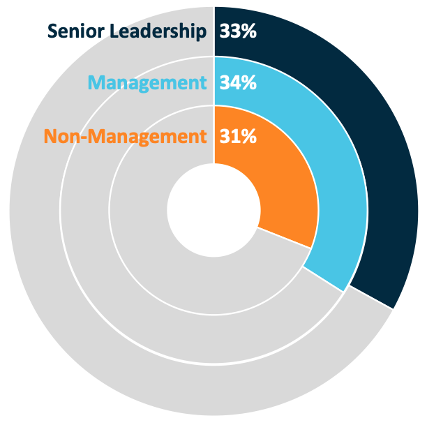 Donut chart showing organizational distribution: Senior Leadership 33%, Management 34%, and Non-Management 31%