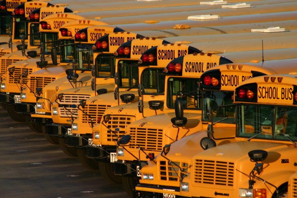 Line of identical yellow school buses parked diagonally, showing their front sections with distinctive red warning lights and black lettering
