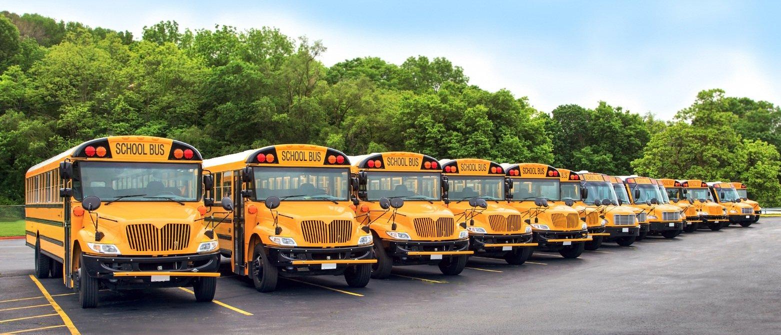 Line of bright yellow school buses parked diagonally in a parking lot with green trees in the background