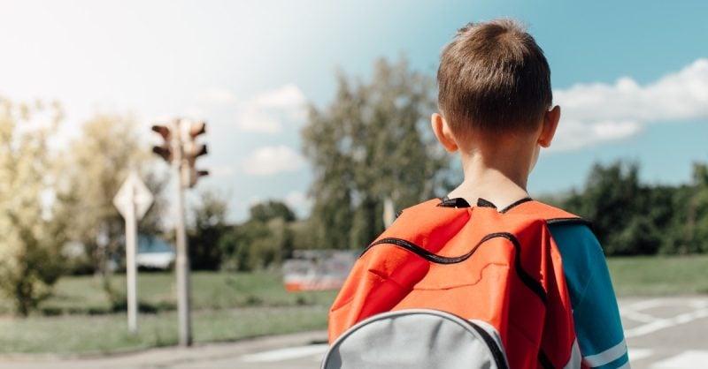 Back view of a child wearing an orange backpack standing at a traffic light intersection on a sunny day
